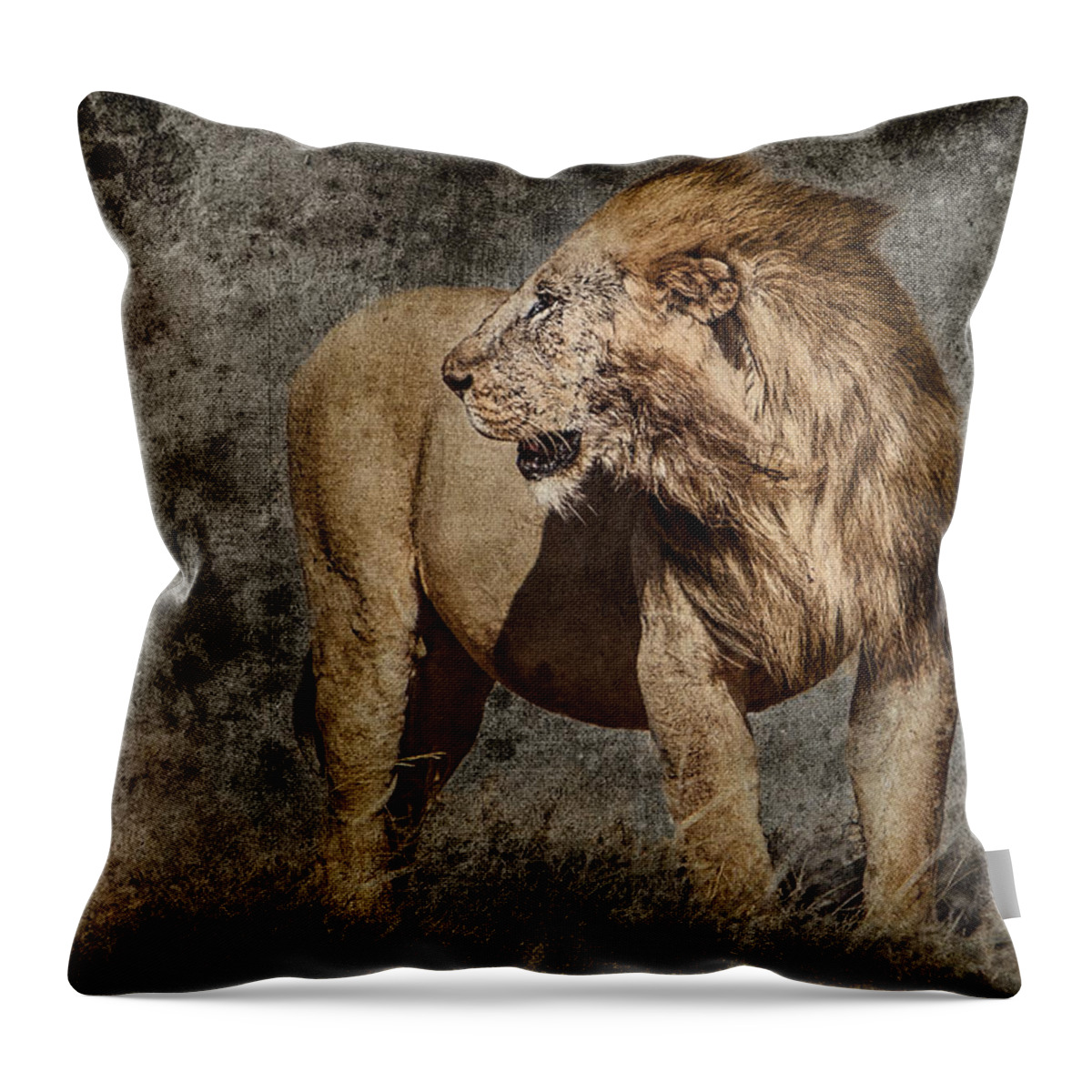 Africa Throw Pillow featuring the photograph Windswept Lion by Mike Gaudaur