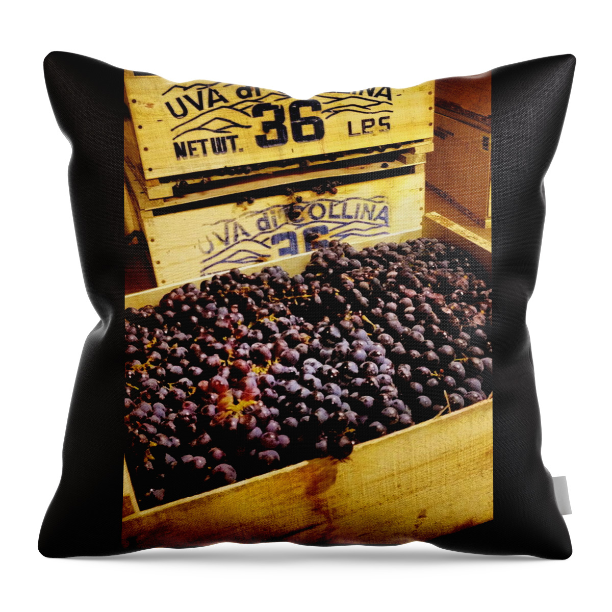 Grape Throw Pillow featuring the photograph Wine Grapes II by Angela Rath