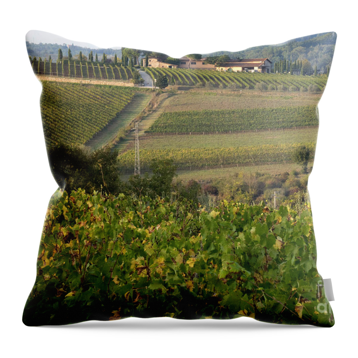 Tuscany Throw Pillow featuring the photograph Wine Region by Milena Boeva