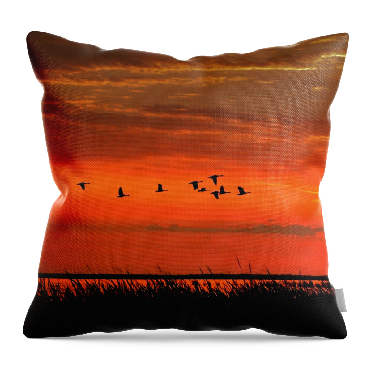 Canada Throw Pillow featuring the photograph Wings on High by Larry Trupp