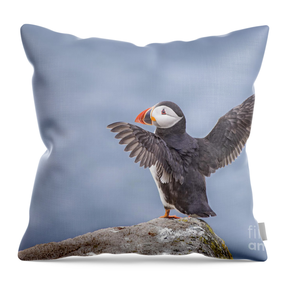 Saltee Throw Pillow featuring the photograph Wings To Fly by Evelina Kremsdorf