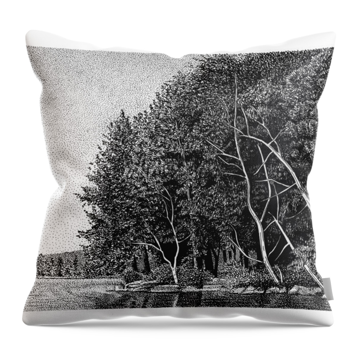 Winnipesaukee Shoreline Throw Pillow featuring the drawing Winnipesaukee Shoreline by Scott Woyak