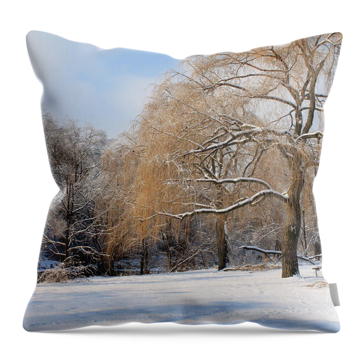Trees Throw Pillow featuring the photograph Winter Along the River by Nina Silver