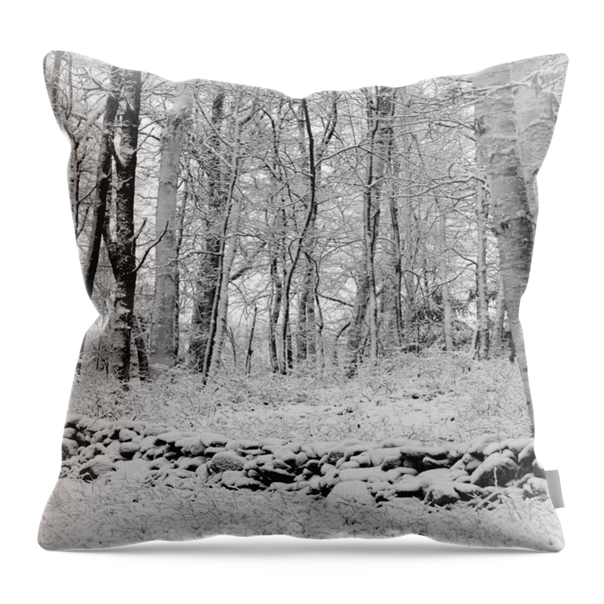 Landscape Throw Pillow featuring the photograph Winter and the Wall by Mike Martin