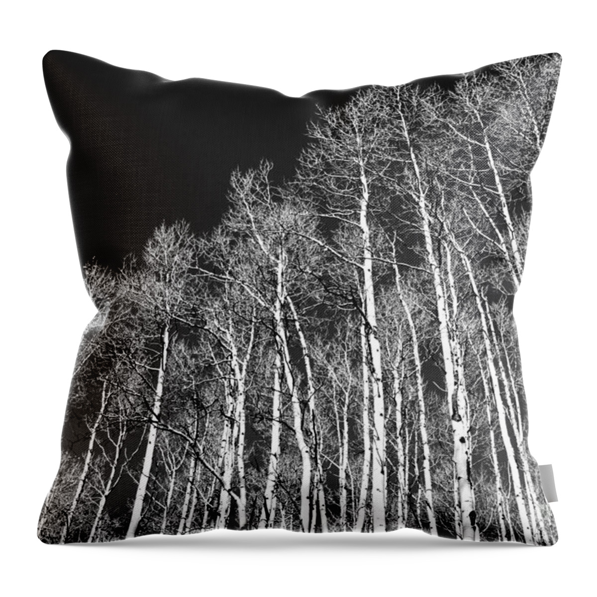 Trees Throw Pillow featuring the photograph Winter Aspens by Roselynne Broussard