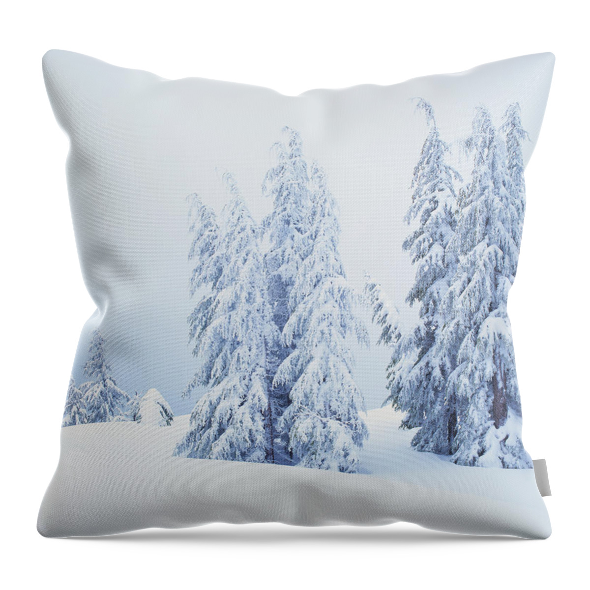 Scenics Throw Pillow featuring the photograph Winter At Crater Lake National Park  P by Ron thomas