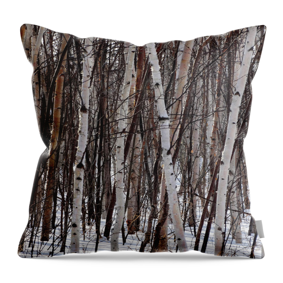 Birch Throw Pillow featuring the photograph Winter Birch Thicket by David T Wilkinson