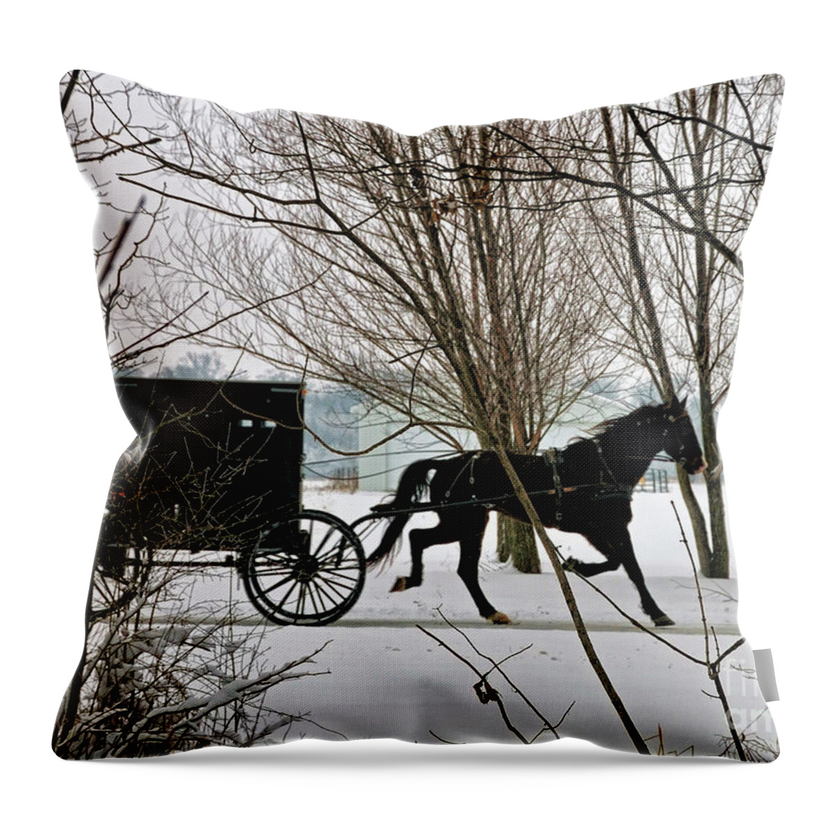 Winter Throw Pillow featuring the photograph Winter Buggy by David Arment