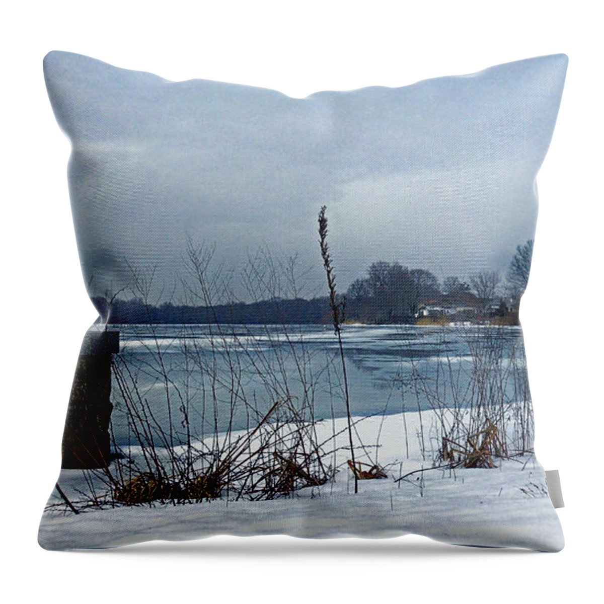 Landscape Throw Pillow featuring the photograph Winter by the lake by Mikki Cucuzzo