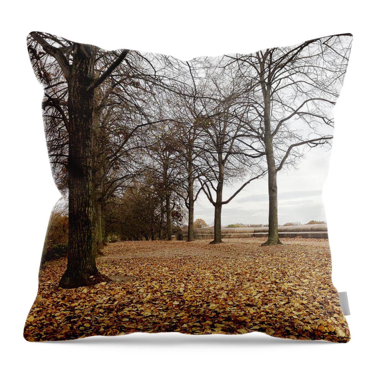 Fall Throw Pillow featuring the photograph Winter calling by Ivy Ho