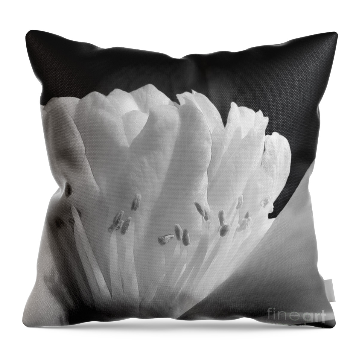 Monochrome Throw Pillow featuring the photograph Winter Camellia by Deborah Smith