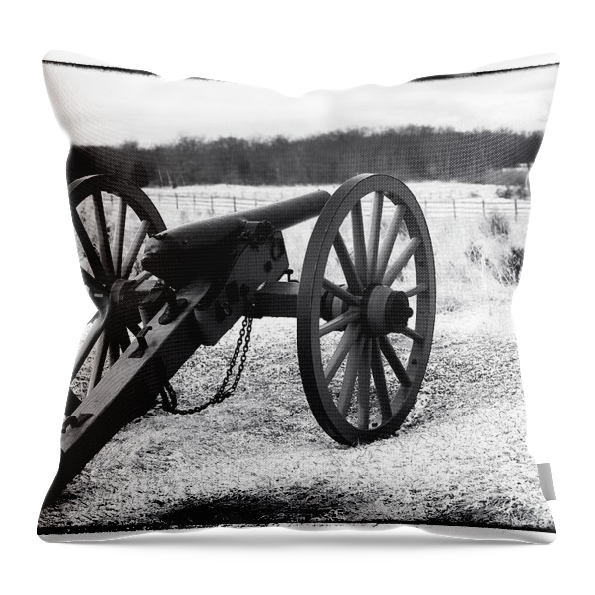 Winter Campaign Throw Pillow featuring the photograph Winter Campaign by John Rizzuto