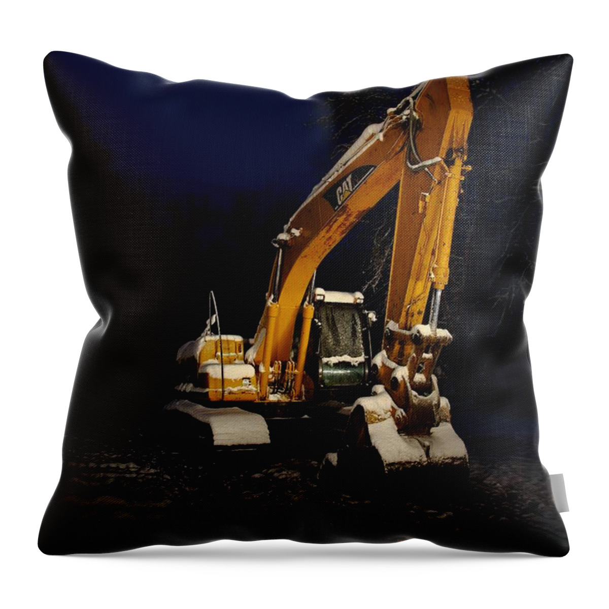 Cat Throw Pillow featuring the photograph Winter Cat by David Andersen