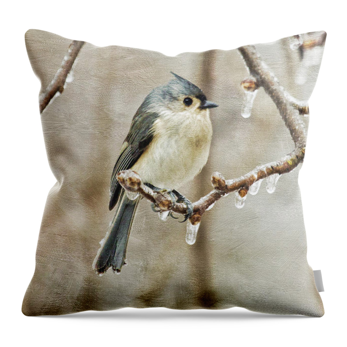 Bird Throw Pillow featuring the photograph Winter Chill by Patricia Montgomery