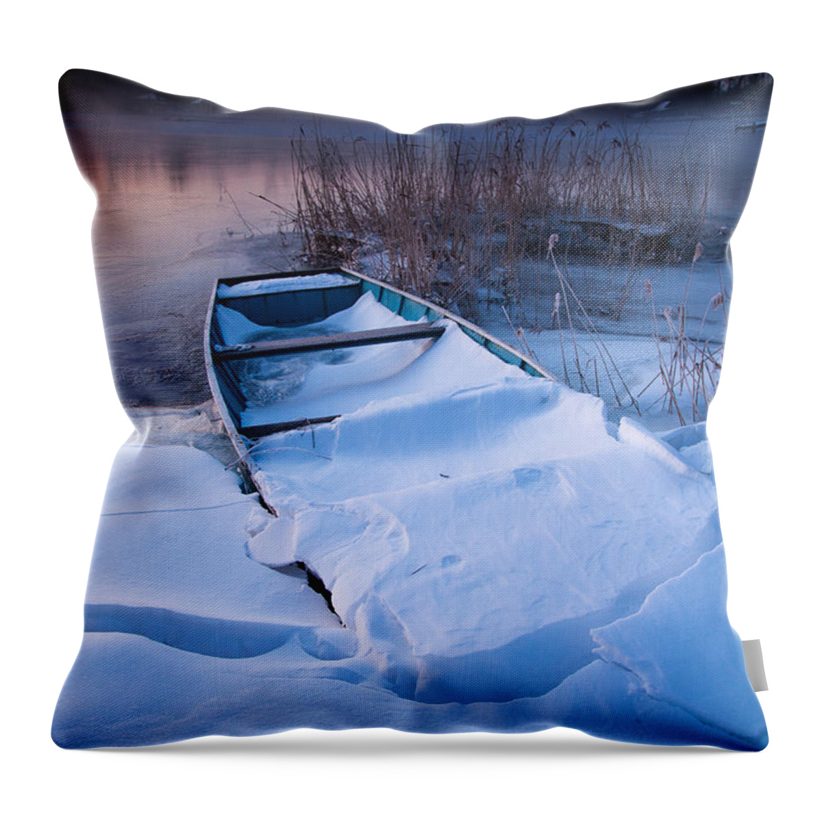 Landscape Throw Pillow featuring the photograph Winter dawn by Davorin Mance