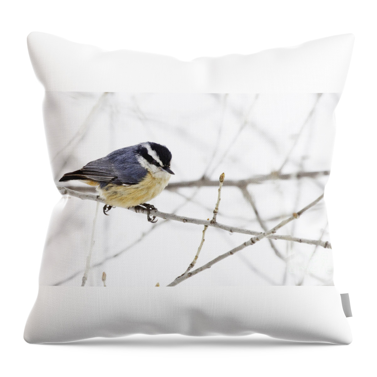 Nuthatch Throw Pillow featuring the photograph Winter Day by Jan Killian