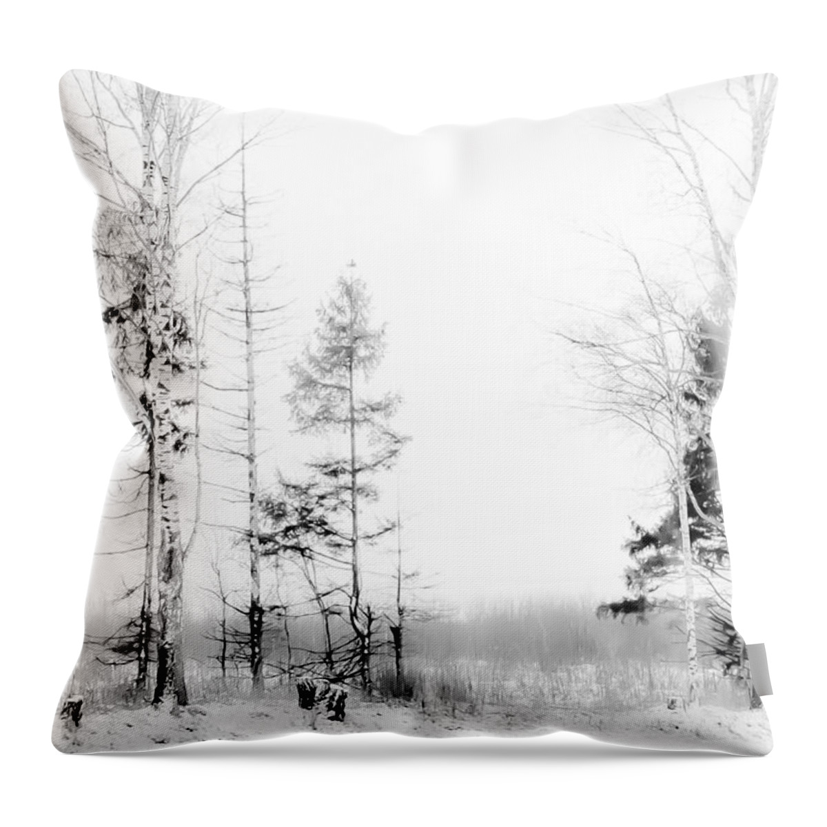 Jenny Rainbow Fine Art Photography Throw Pillow featuring the photograph Winter Drawing by Jenny Rainbow