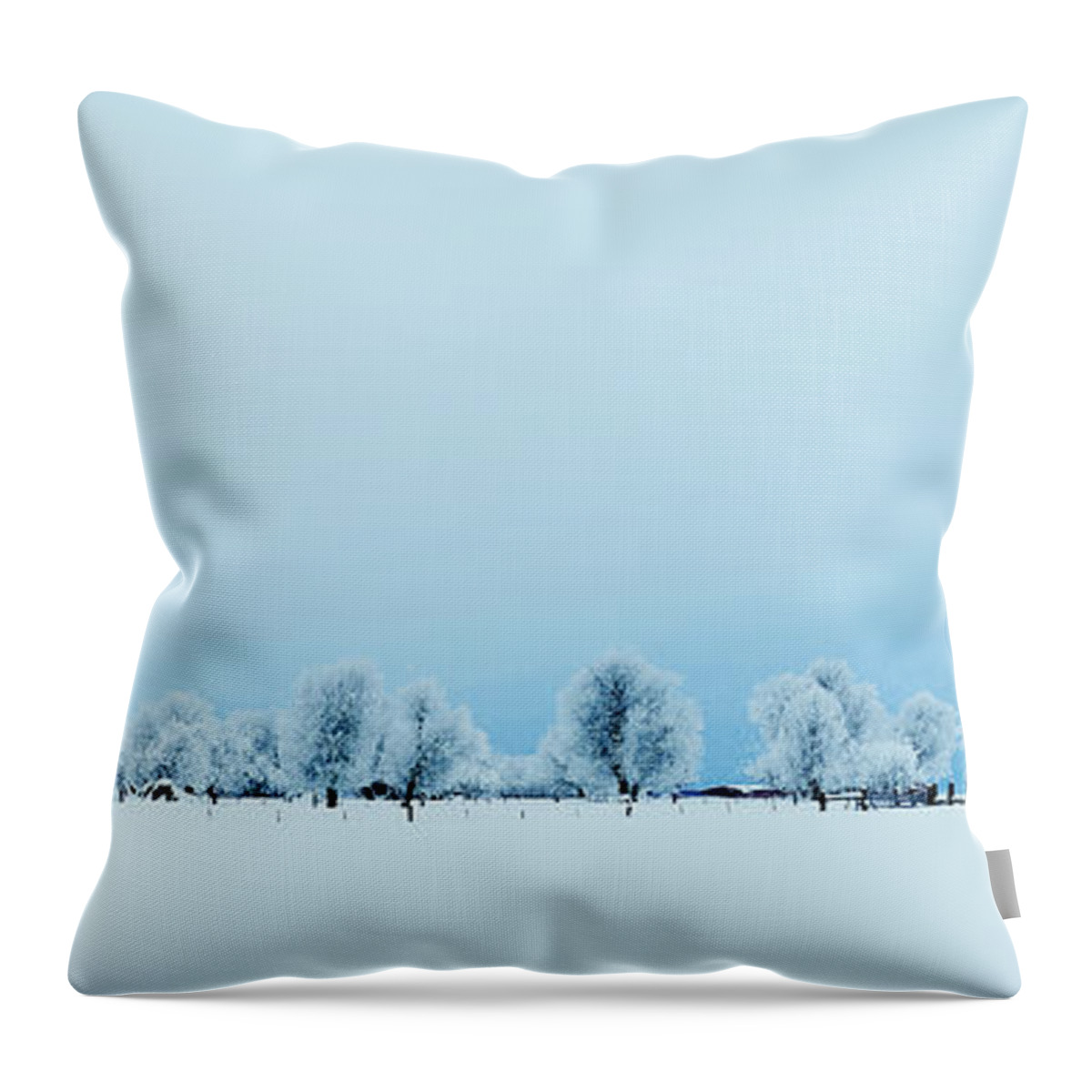 Tranquility Throw Pillow featuring the photograph Winter Farm by Henry@scenicfoto.com