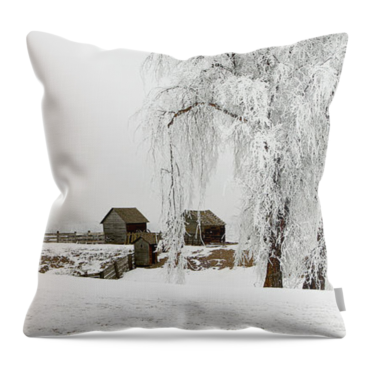 Hoar Throw Pillow featuring the photograph Winter Farm by Mary Jo Allen