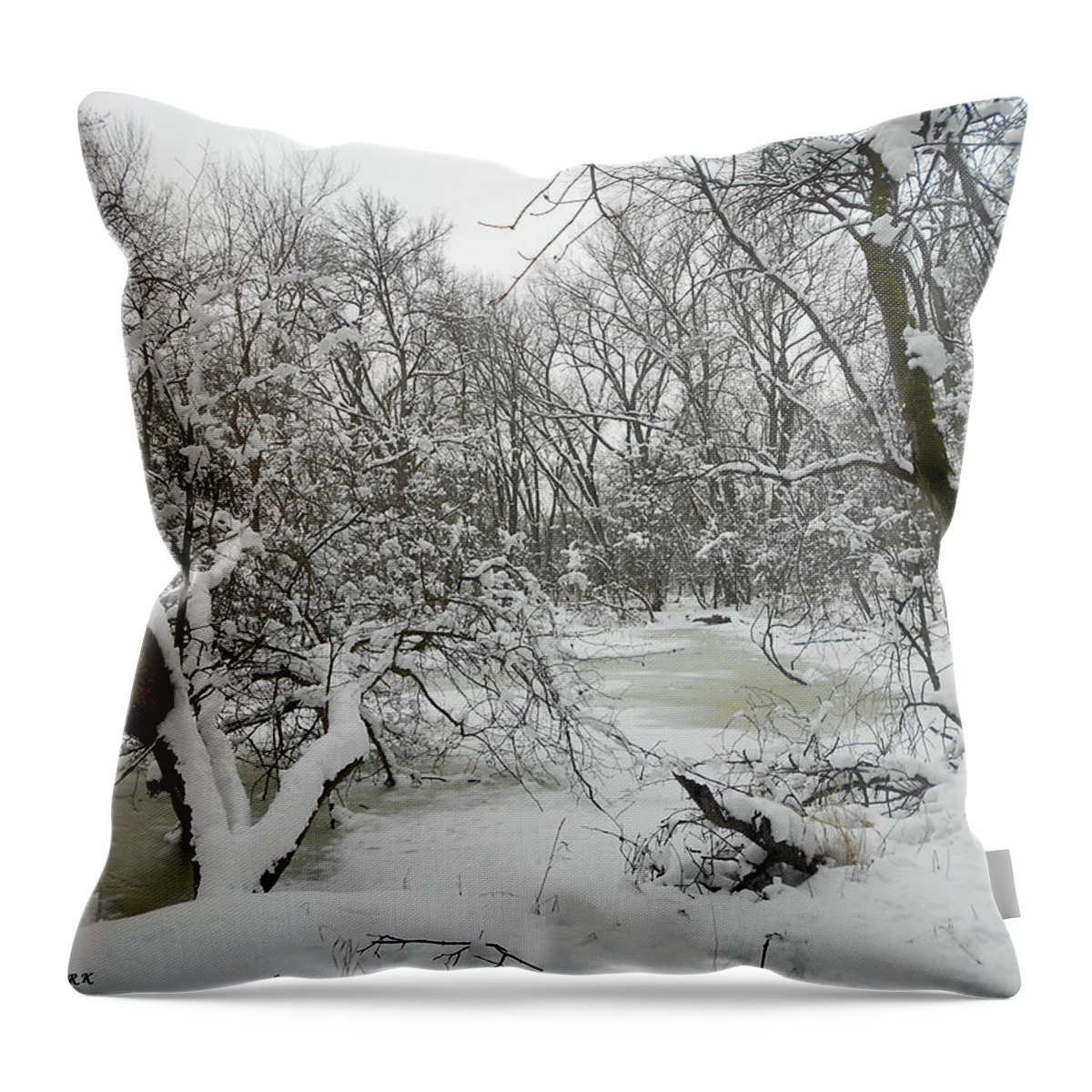 Winter Throw Pillow featuring the photograph Winter Forest Series 3 by Verana Stark