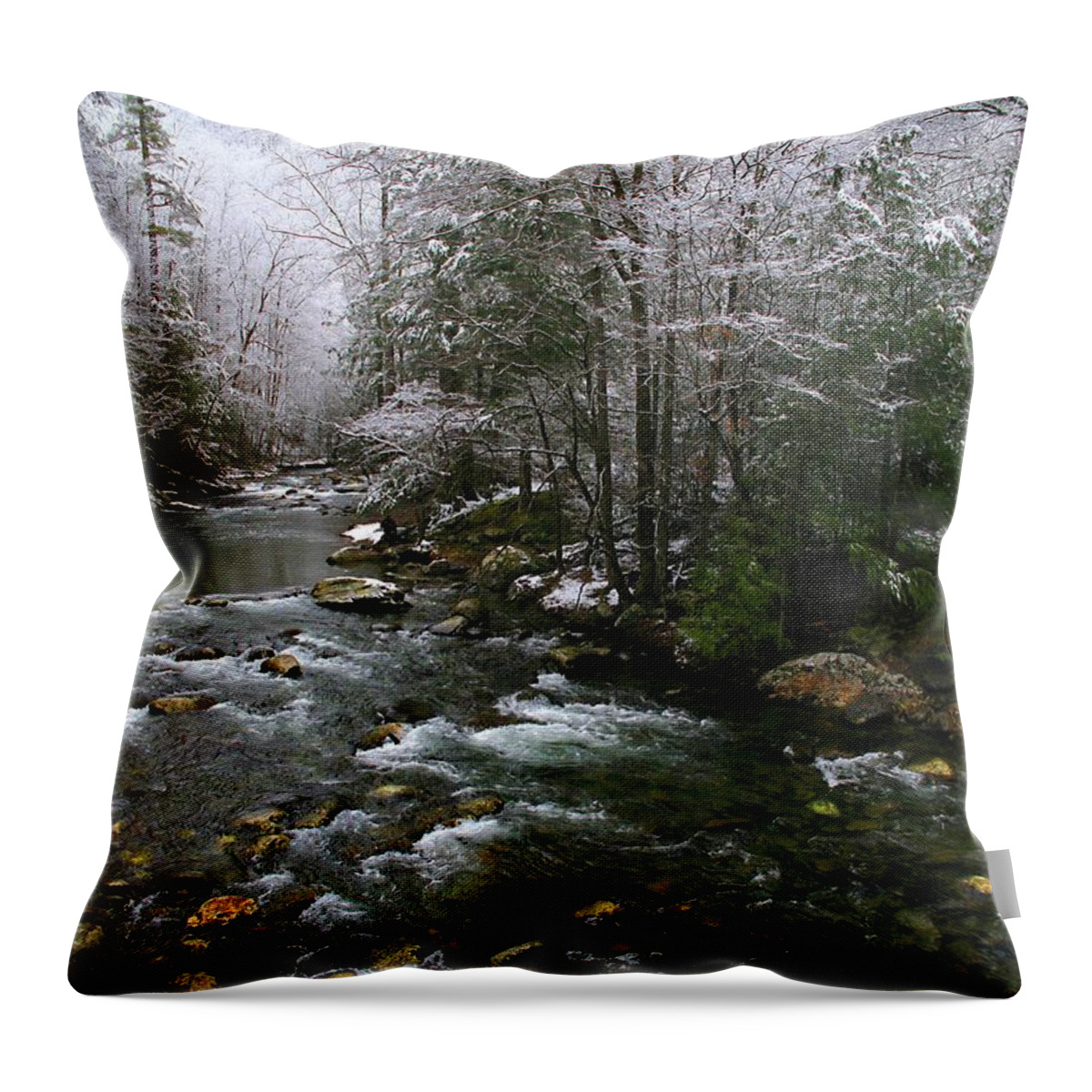 Smoky Mountain Stream Throw Pillow featuring the photograph Winter Fresh by Michael Eingle