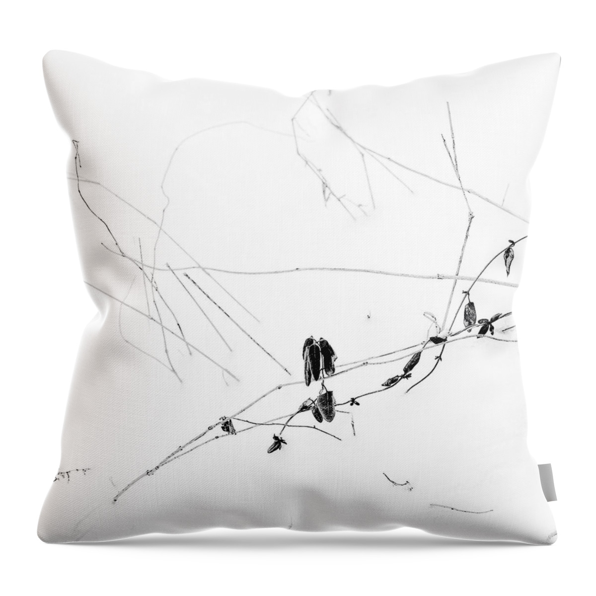 Snow Throw Pillow featuring the photograph Winter Garden No 1 by Louise Kumpf