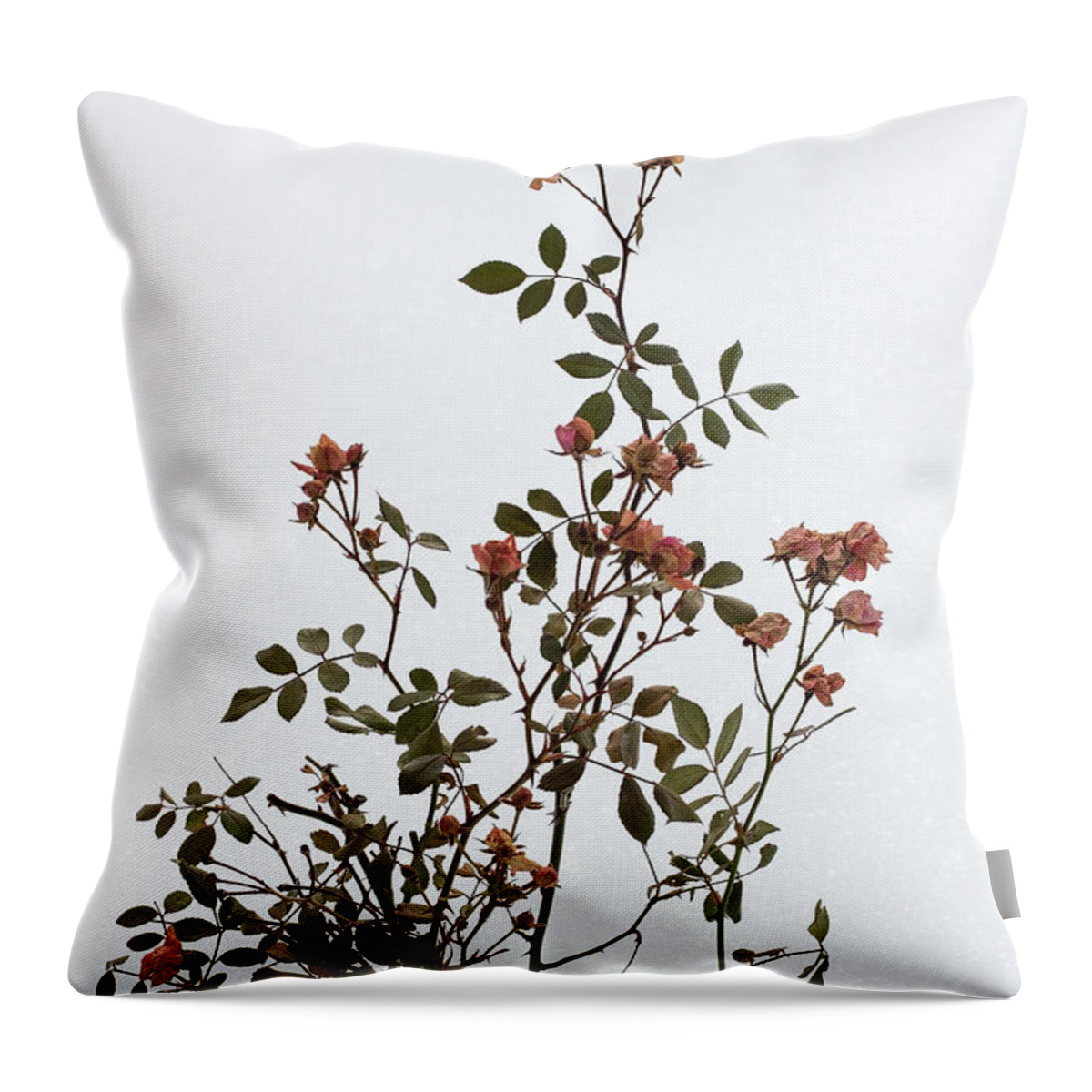 Flower Throw Pillow featuring the photograph Winter Ice Fairy Roses by Barbara McMahon