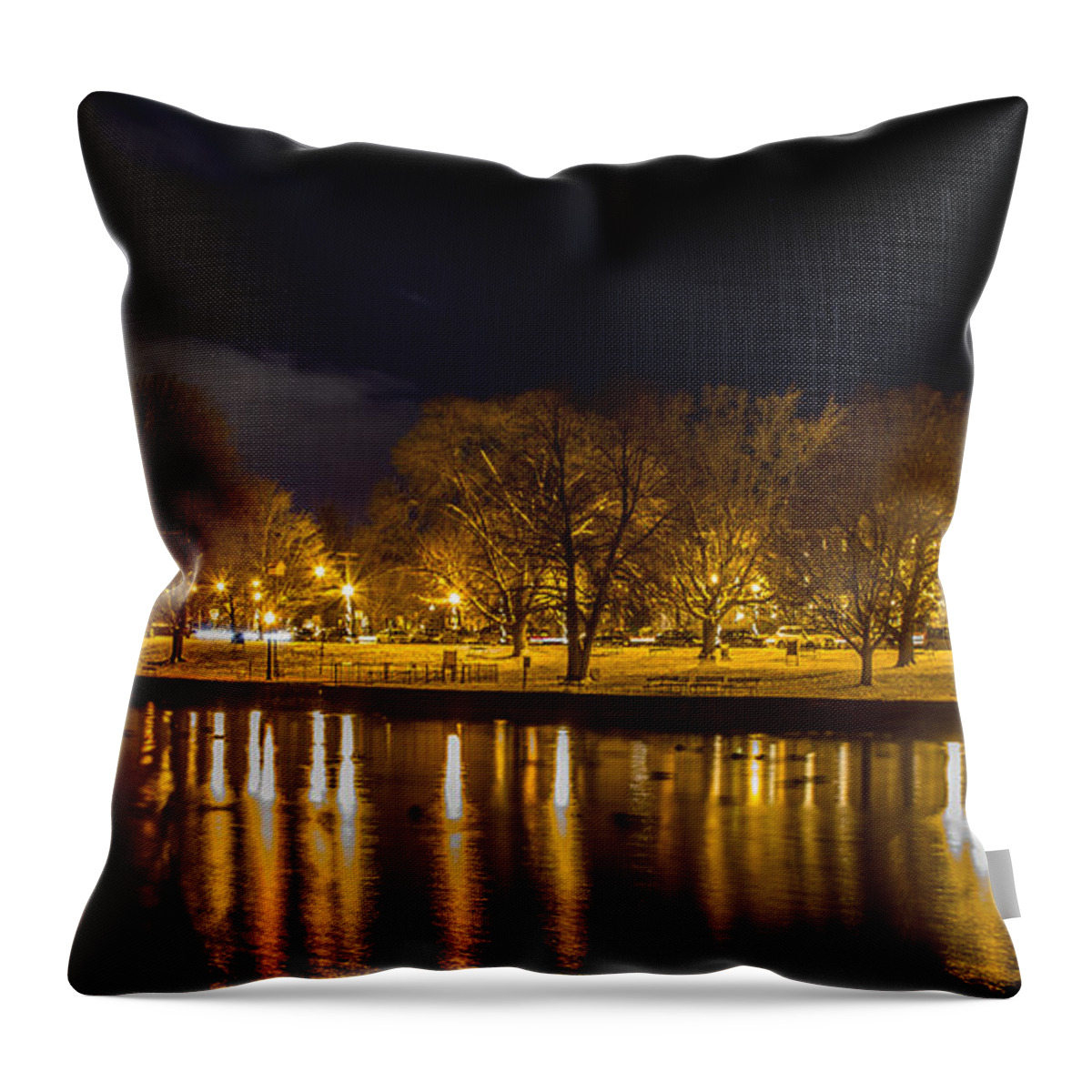 Waterscape Throw Pillow featuring the photograph Winter Lakeshore at Night by Rod Best