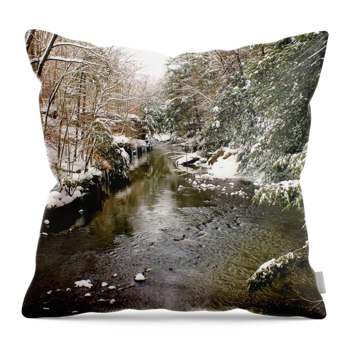 Winter Landscape Throw Pillow featuring the photograph Winter Landscape by Michelle Joseph-Long