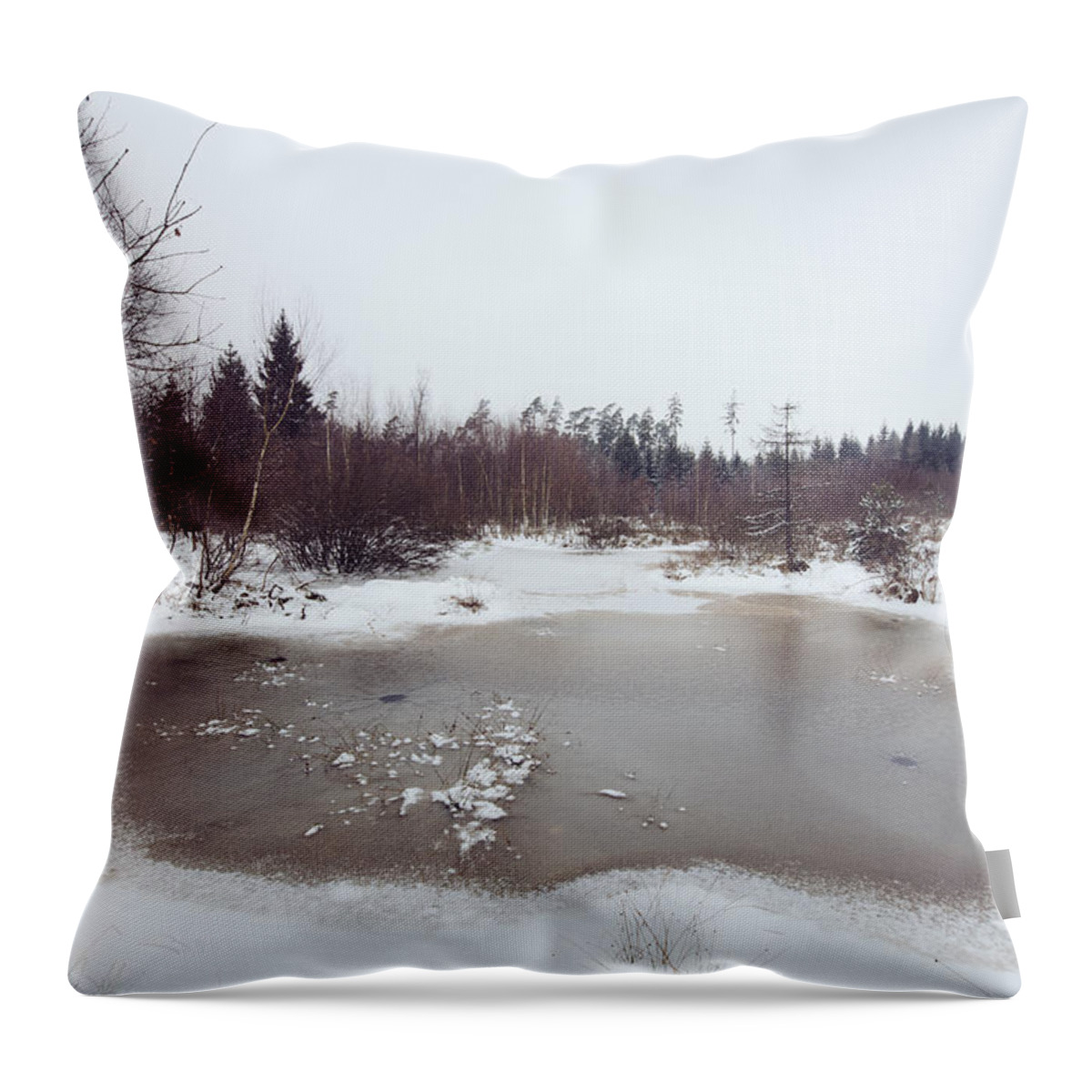 Winter Throw Pillow featuring the photograph Winter landscape with trees and frozen pond by Matthias Hauser