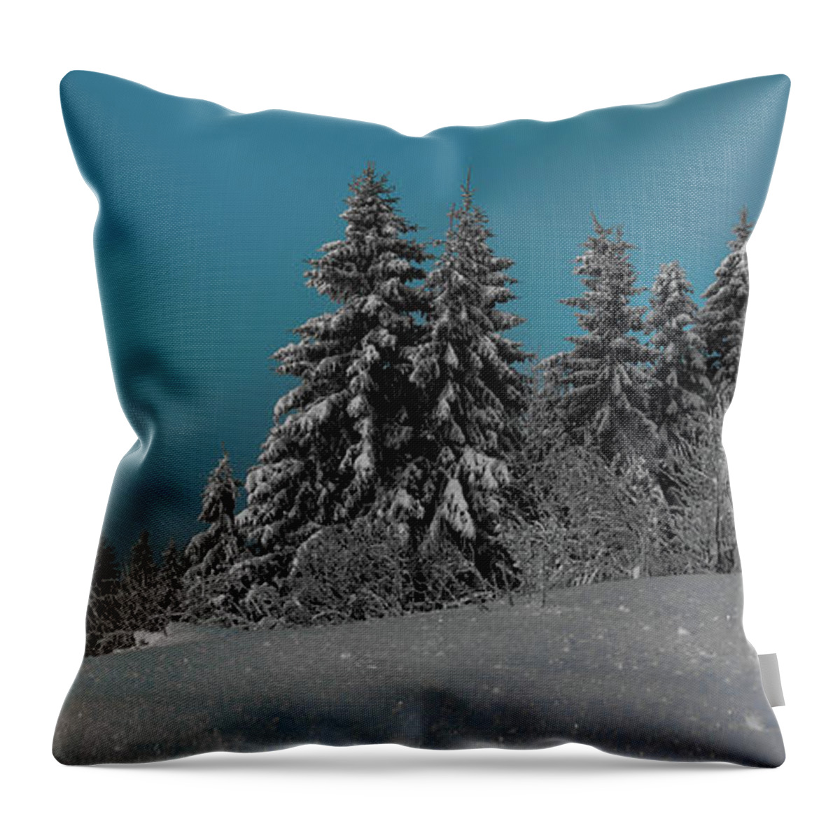 Tranquility Throw Pillow featuring the photograph Winter Light by Tore Thiis Fjeld