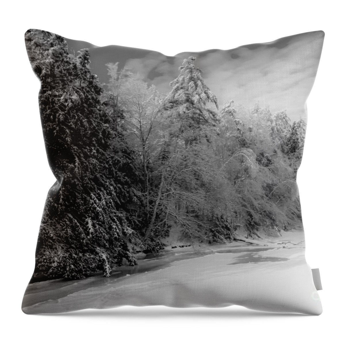Maine Throw Pillow featuring the photograph Winter Living in Maine by Brenda Giasson