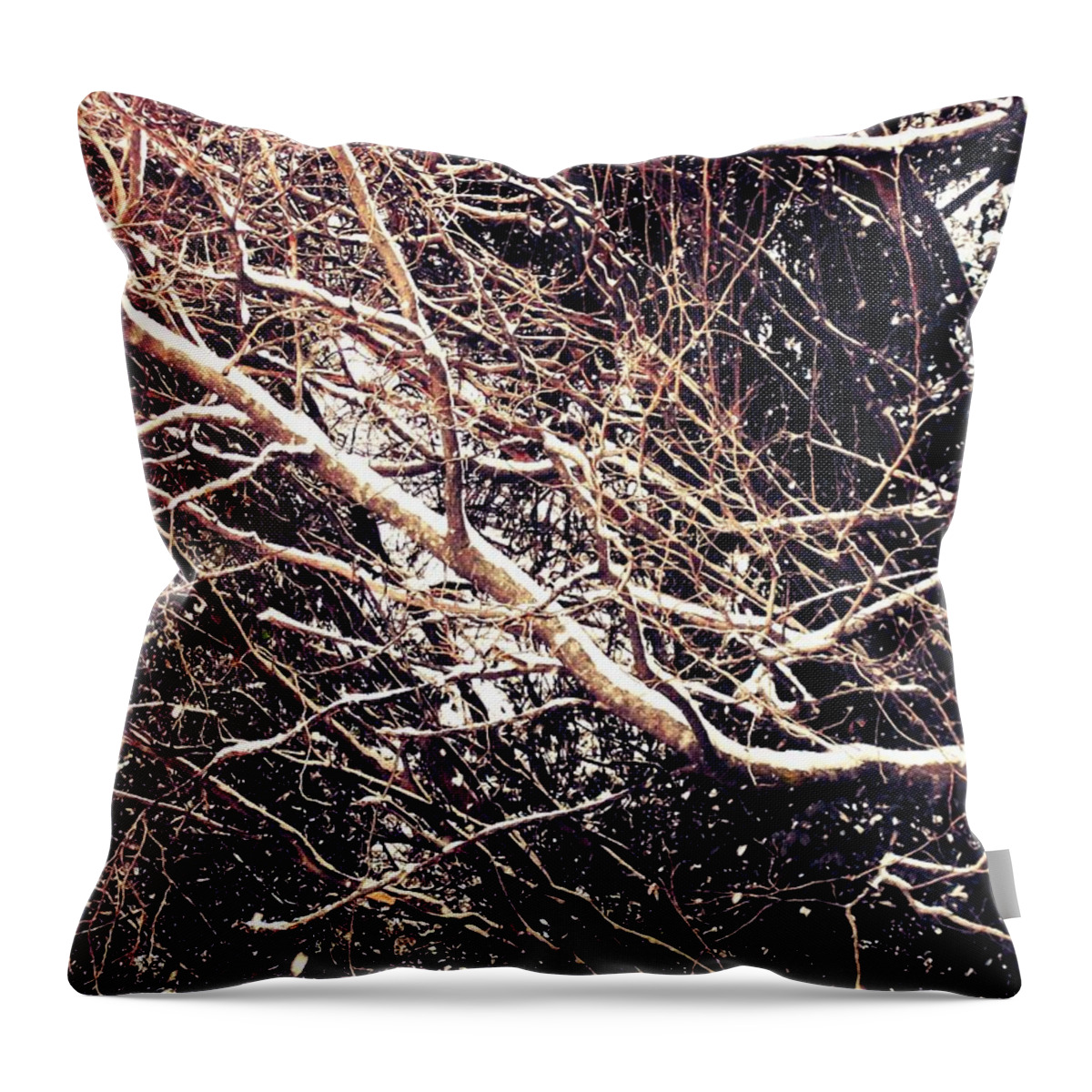 Winter Throw Pillow featuring the photograph Winter by Mary Kritschgau