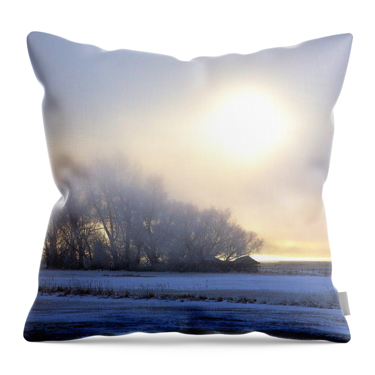 Bear Lake Throw Pillow featuring the photograph Winter Mist by David Andersen