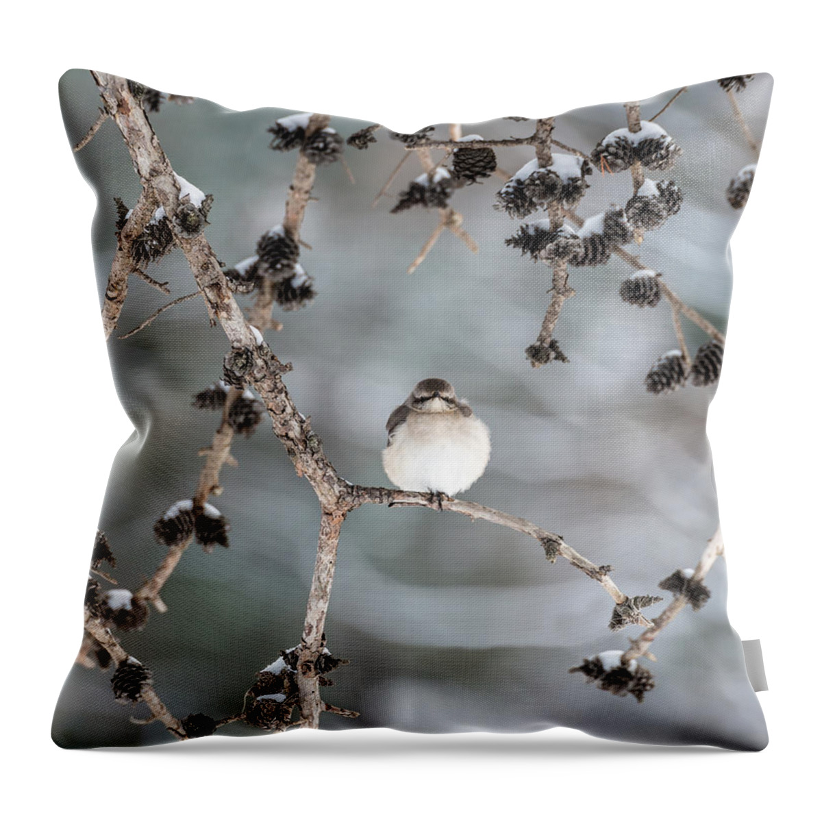 Mockingbird Throw Pillow featuring the photograph Winter Mockingbird by Patrick Wolf