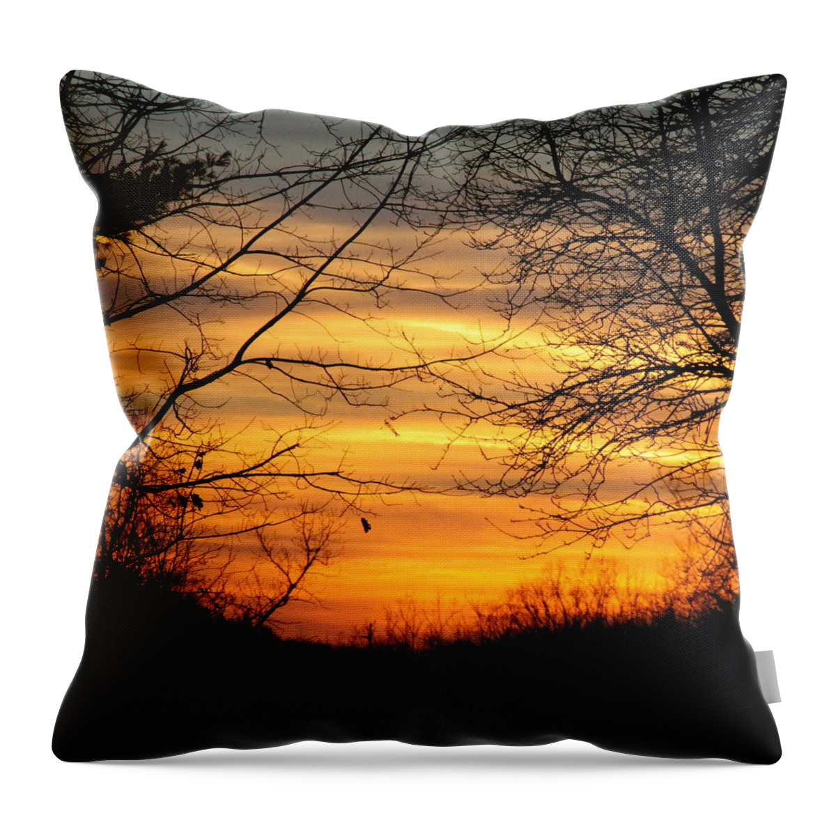 Sunrise Throw Pillow featuring the photograph Winter Orange by Justin Connor