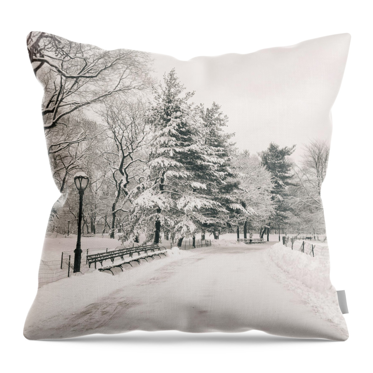 Winter Throw Pillow featuring the photograph Winter Path - Snow Covered Trees in Central Park by Vivienne Gucwa