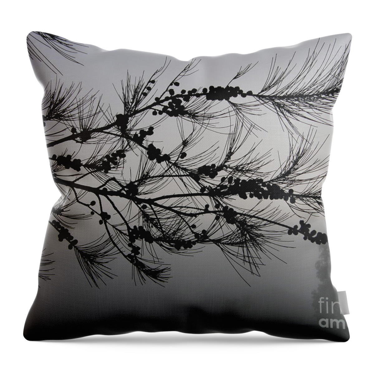 Pine Throw Pillow featuring the photograph Winter pine branch by Bev Conover