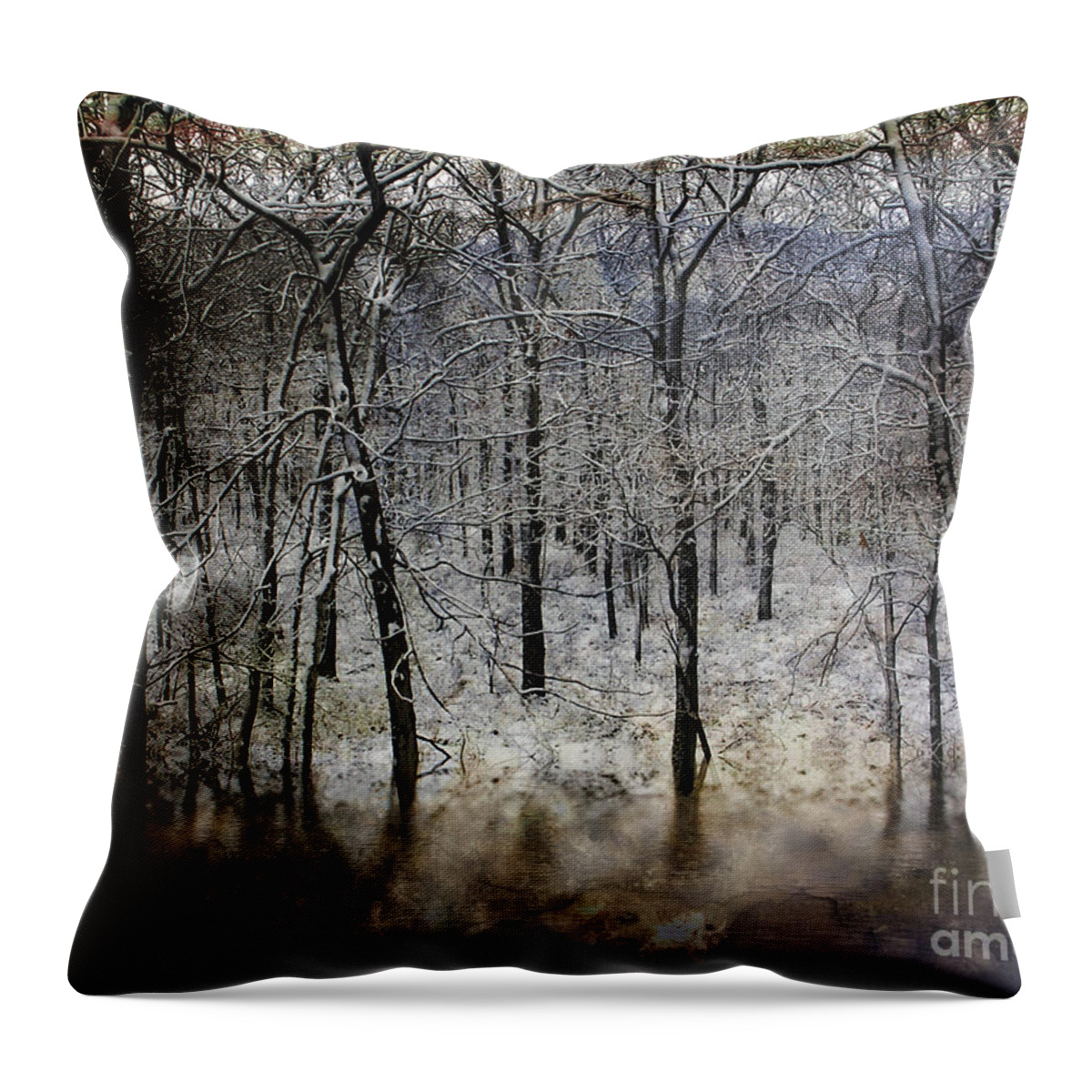 Trees Throw Pillow featuring the photograph Winter Pond Frozen by Dee Flouton