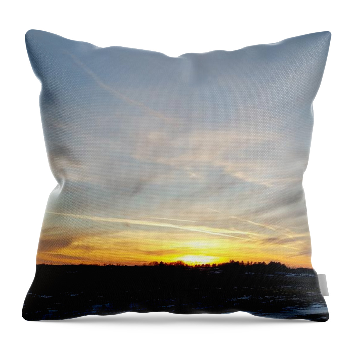 Branched Oak Lake Throw Pillow featuring the photograph Winter Road by Caryl J Bohn
