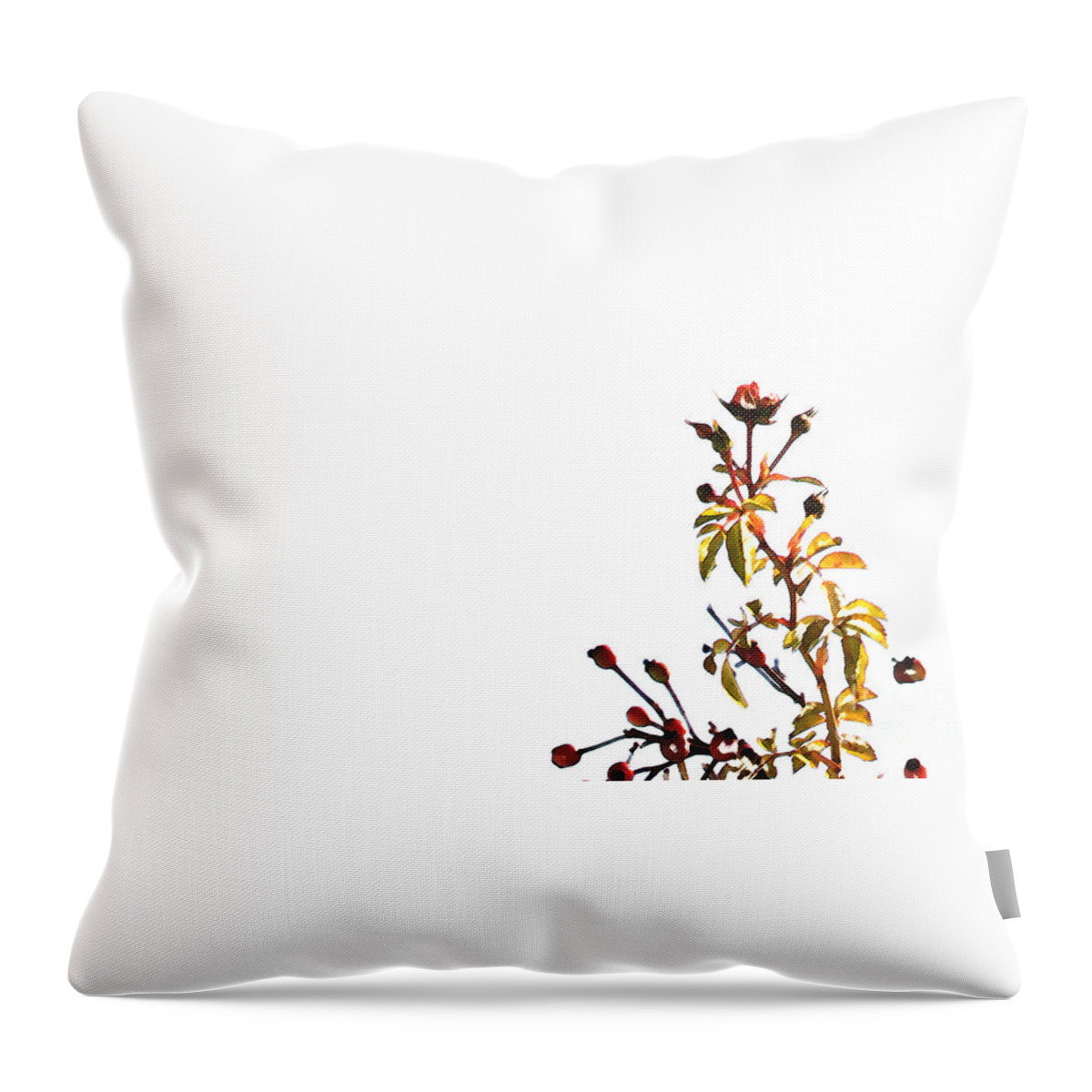 Rose Throw Pillow featuring the photograph Winter Rose by Linda Shafer