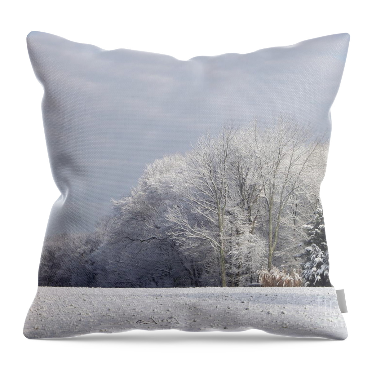 Winter Landscape Throw Pillow featuring the photograph Winter Serenity by Michelle Welles