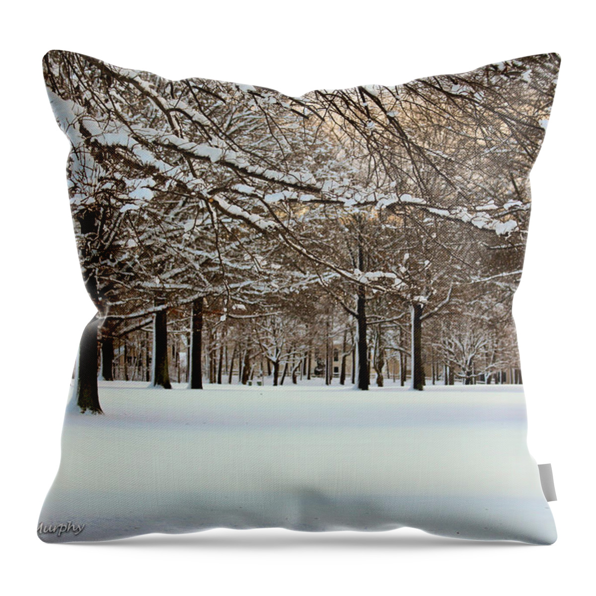 Winter Scenes Throw Pillow featuring the photograph Winter Snow by Ann Murphy