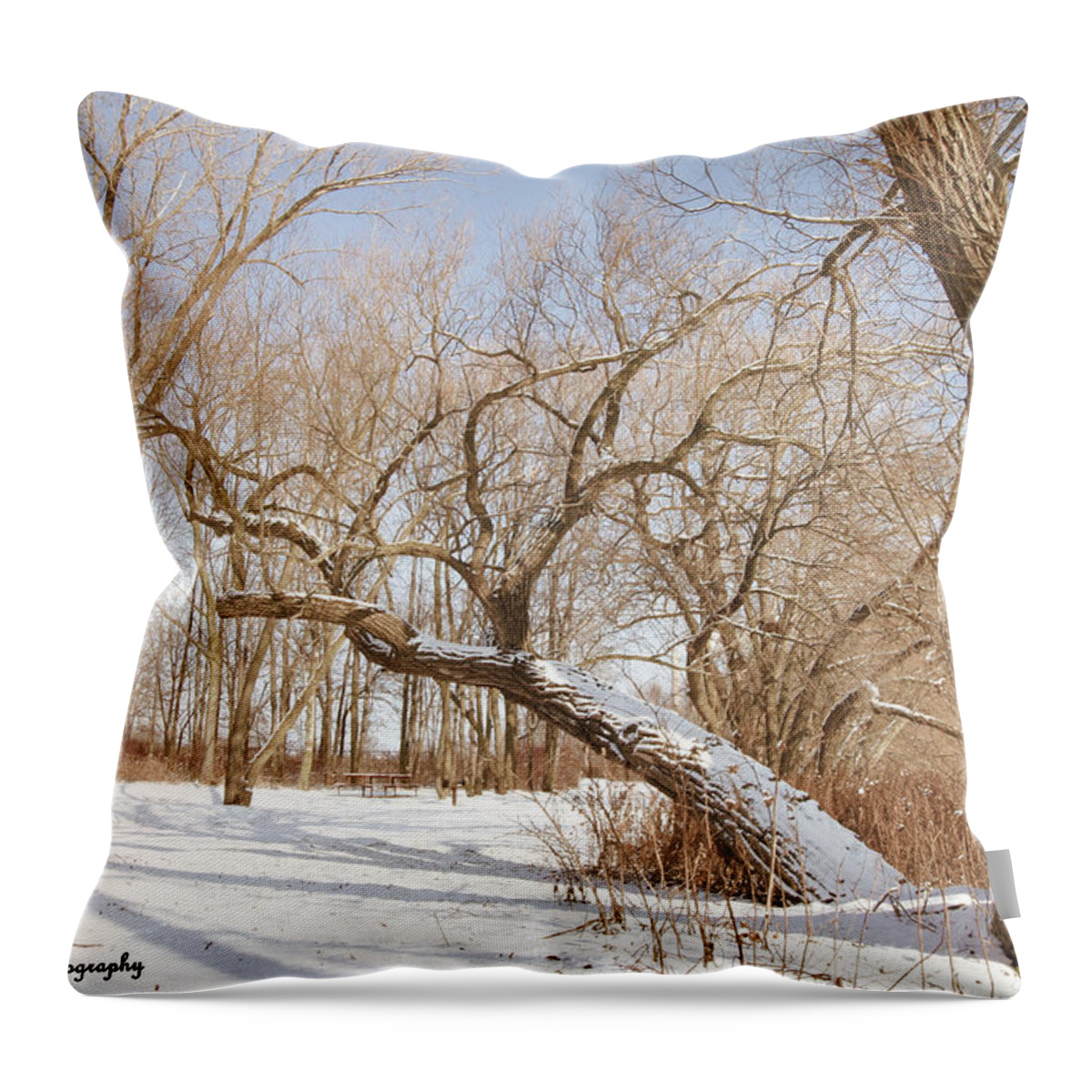 Trees Throw Pillow featuring the photograph Winter Solitude by Hany J