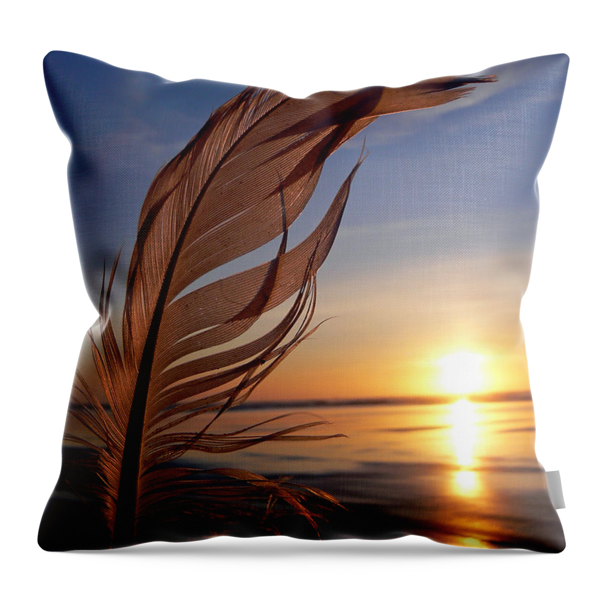 Ocean Throw Pillow featuring the photograph Winter Solstice 2011 by Pamela Patch
