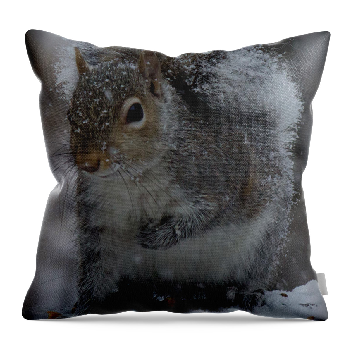 Sandra Clark Throw Pillow featuring the photograph Winter Squirrel 1 by Sandra Clark