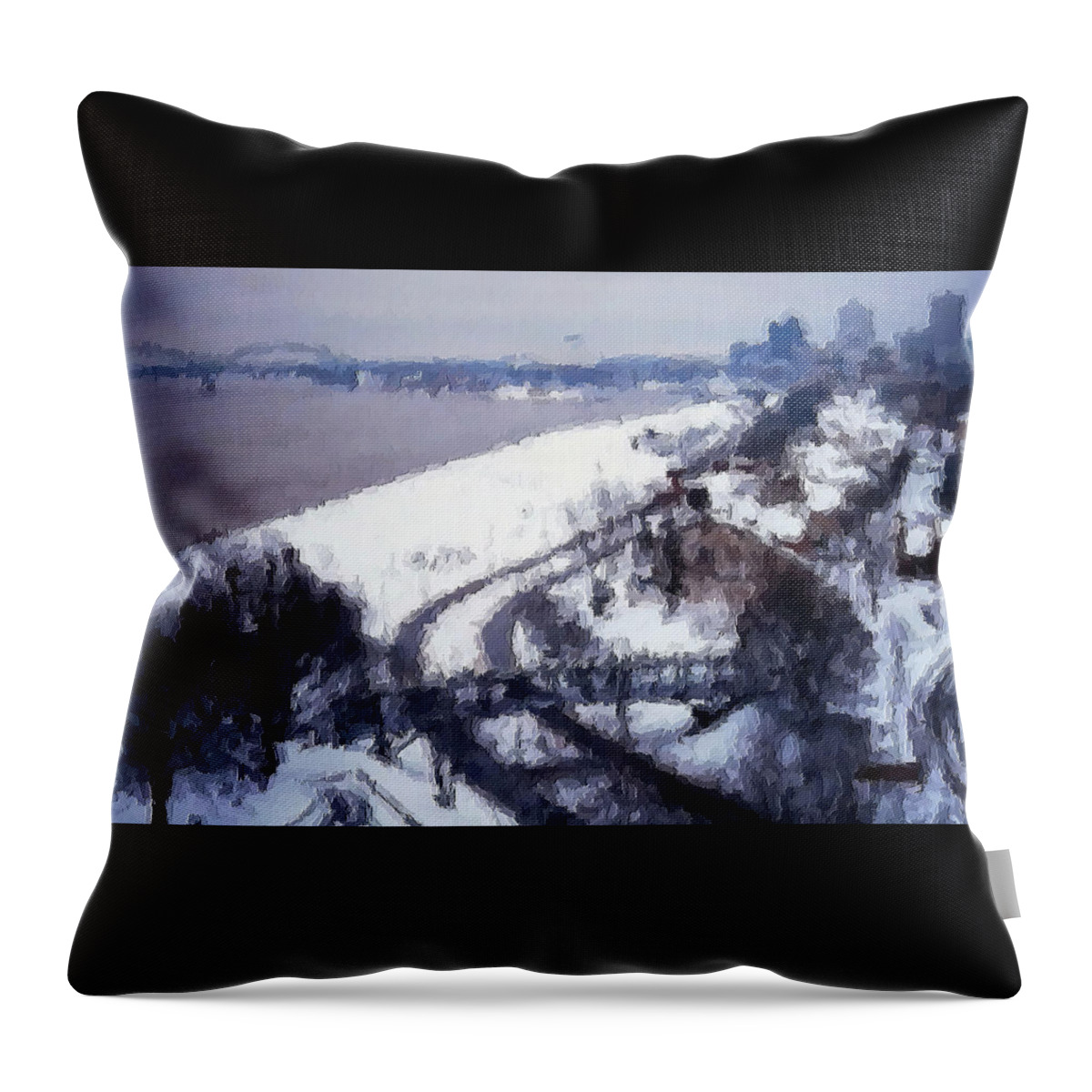 Memphis Throw Pillow featuring the photograph Winter Storm of 2002 by Belinda Lee