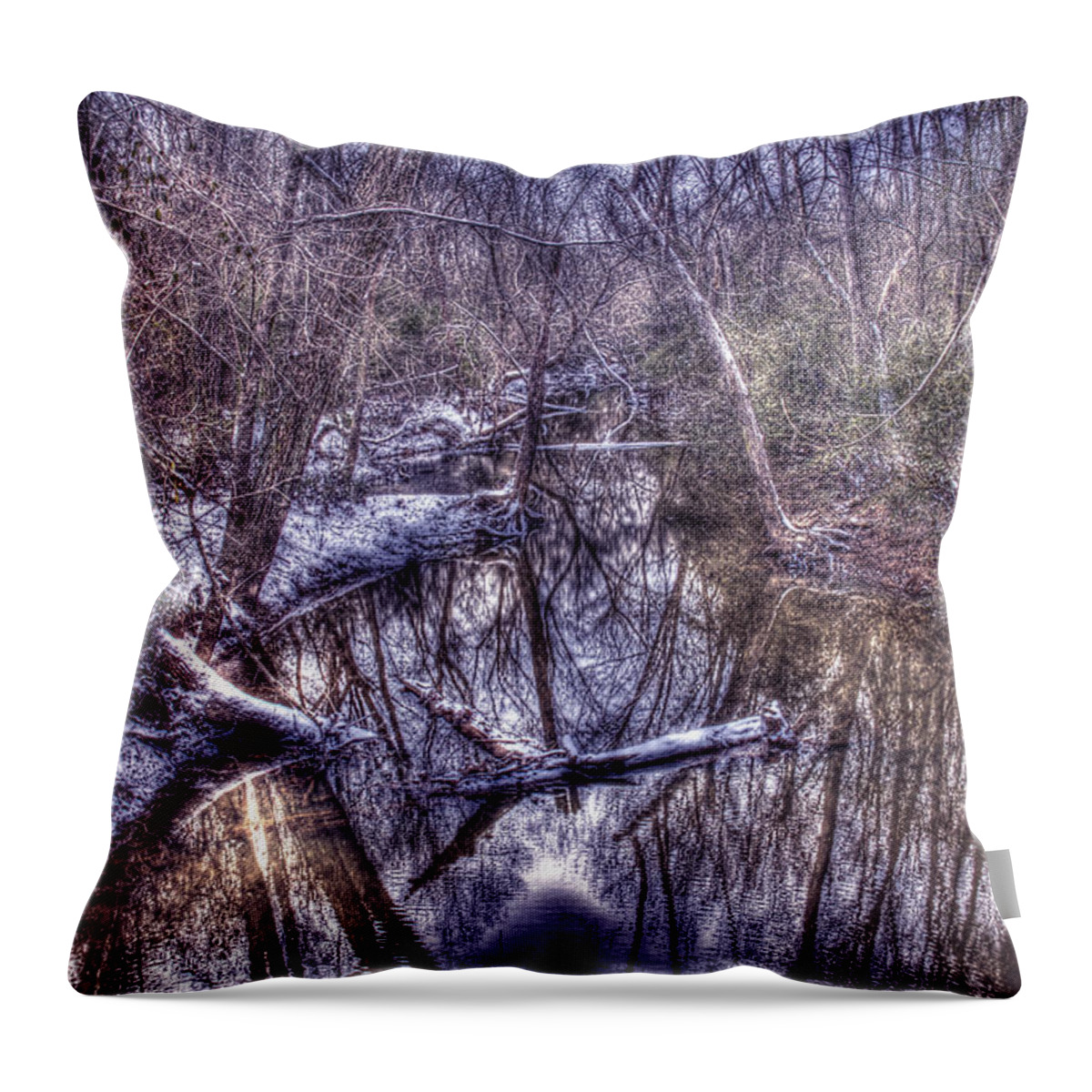 Snow Throw Pillow featuring the photograph Winter Stream by Andy Lawless