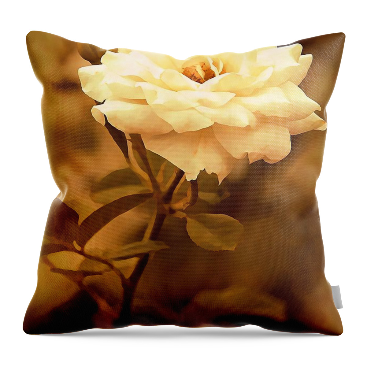 Rose Throw Pillow featuring the photograph Winter Sun by Jean Connor