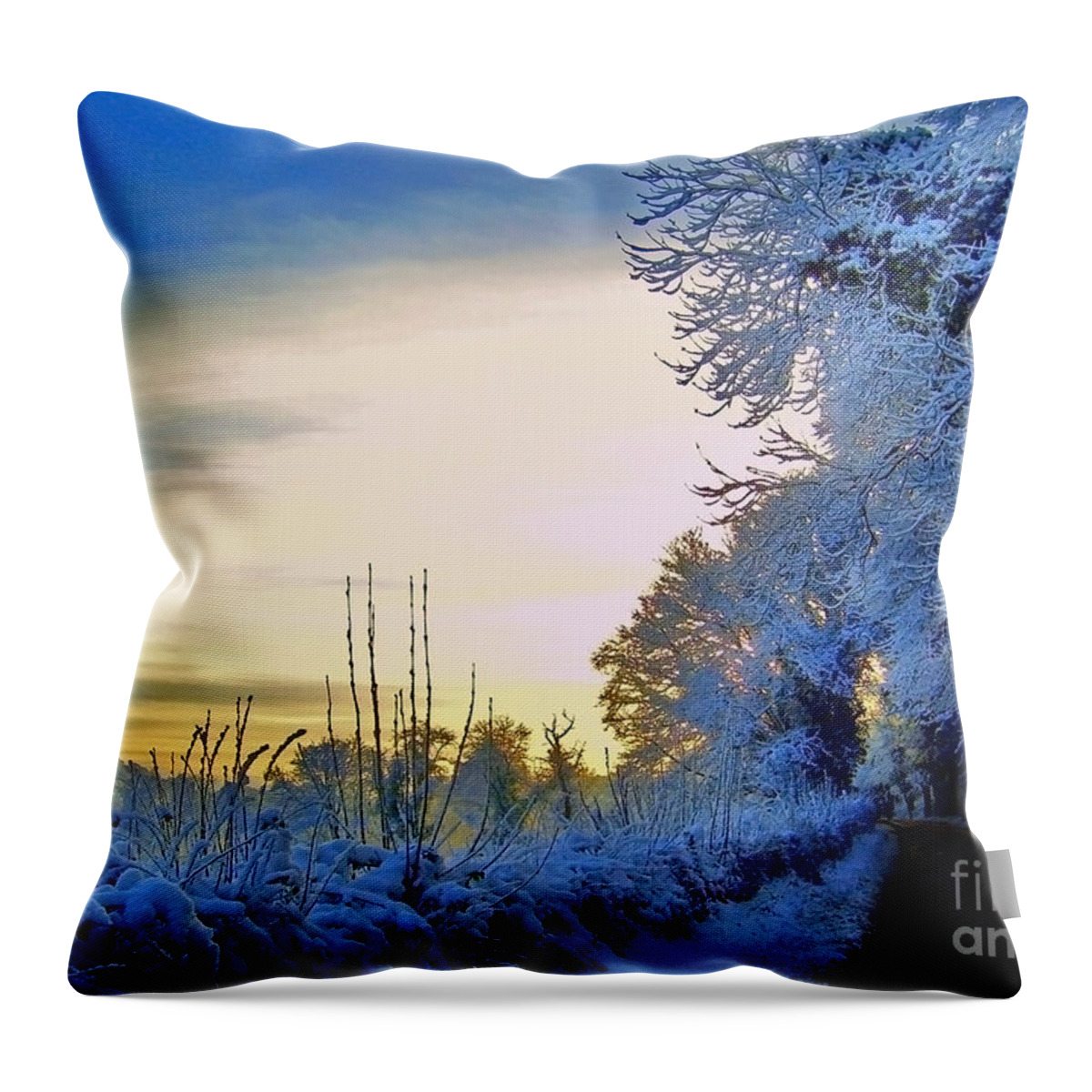Winter Throw Pillow featuring the photograph Winter Sunburst by Nina Ficur Feenan